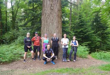 Nadine Andreau organise des randonnées en forêt de Perseigne. Elle peut compter sur une ancienne collègue du Cefiga à la retraite, Marie-Claire Grouas (à droite) qui l'accompagne sur ses randos ("ma première Fan").