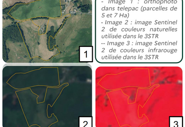 Images utilisées en 3STR et comparaison à l'orthophoto utilisée pour la télédéclaration.
