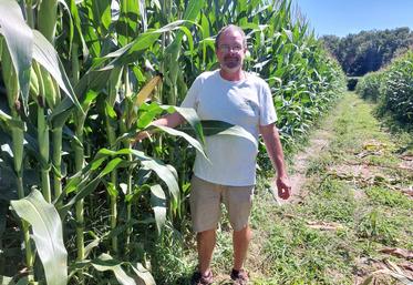 Emmanuel Froger produit du maïs grain irrigué sur 30 ha avec deux variétés : DK4416 et P9975. Ses maïs sont prometteurs alors que le sixième tour d'eau vient d'être réalisé.