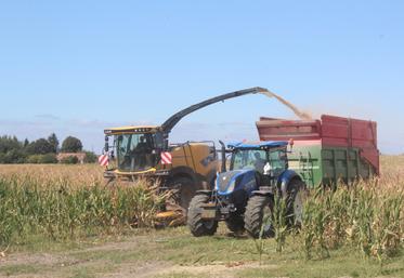 Ensilage le 26 août chez Julien Ménager.