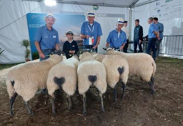 Didier Juigné a remporté le prix d'ensemble au National Bleu du Maine.