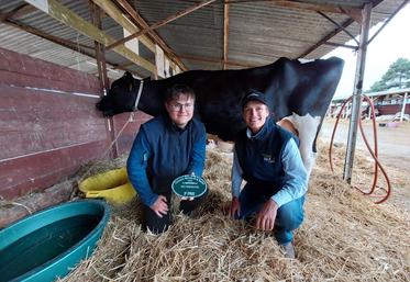 Noah Rouilier, stagiaire chez Sylvia Delangle, éleveuse laitière à Torcé-en-Vallée, a travaillé tout l'été pour préparer la vache Rockeuse.