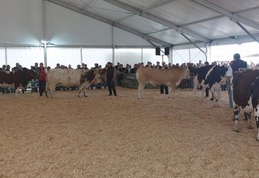 Défilé des races bovines et interpellation de la FDSEA sur le Mercosur lors de la visite officielle des 4 jours du Mans.