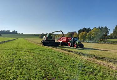 Les conditions étaient optimales pour le chantier d'ensilage, par un temps lumineux et sur sol égoutté.