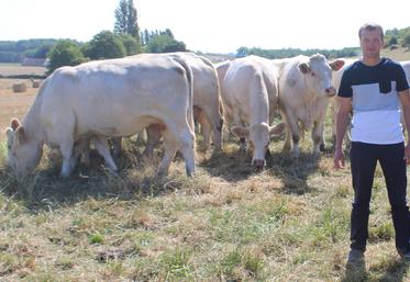 Damien Cabaret, installé depuis 4 ans à Bouloire, a vu son cheptel en race charolaise durement touché par la FCO-3 sur ses vêlages de janvier et février 2025.