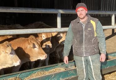 Installé à Vancé, Dylan Chevereau, élève des Blondes d'Aquitaine.