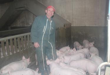 Christophe Vovard dans une des 12 cases comptant 13 porcelets chacune. A droite, Juliette Rochard, animatrice commerciale et qualité chez Porc Armor.
