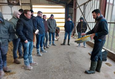 La " Seenoviale " du 29 janvier, animée par Germain Néré, a réuni un groupe d'éleveurs sur l'Earl de la Chapelière, à Bouloire.
En bas à dr. : Marie-Charlotte Touroute, conseillère Seenovia, analyse de l'urine de vaches taries au réfractomètre.