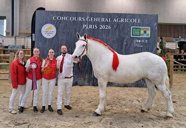 La passion et le travail de la famille Patout (Villeneuve-en-Perseigne) sont de nouveau récompensés par une 3e position de Noblesse d'Atout (pouliche de moins de 3 ans - catégorie modèle et allure). Une reconnaissance qui illustre la qualité et la régularité de cet élevage : Noblesse d'Atout est la fille de Jétrière d'Atout (classée 4e au concours de Paris 2022) et petite fille d'Etrière d'Atout (4e de l'édition 2014).
