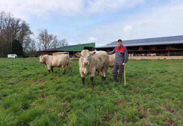 Quentin Hautreux a engagé 3 taureaux à la vente lors de la journée Mise à l'herbe Charolaise. Il ouvre les portes de son exploitation ce samedi 21 mars.