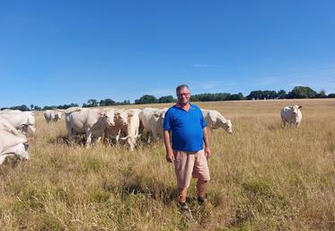 Jacky Pezet a lancé un projet d'agrivoltaïsme sur une prairie de 13 ha, avec l'entreprise TSE.