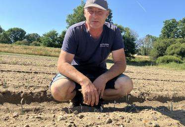 Rodolphe Seuru, dans une parcelle de jeunes poireaux grillés, se décourage face à des conditions de travail de plus en plus difficiles.