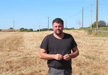 Guillaume Guérineau, sur la parcelle moissonnée de féverole-blé. Le battage a eu lieu en fin de semaine dernière.