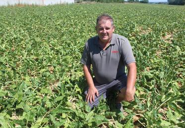 Stéphane Leroux sur une parcelle de 9 ha.