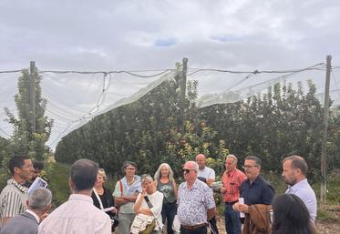Visite du verger irrigué de M. Timmerman et son système en goutte-à-goutte.