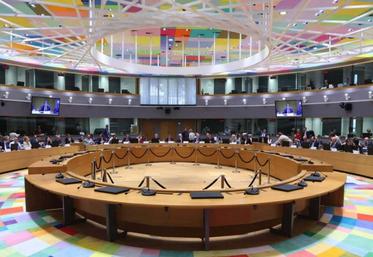 Les ministres européens de l'Agriculture, réunis à Luxembourg les 26 et 27 octobre.