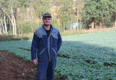 Nicolas Gaucher, dans une parcelle abîmée.