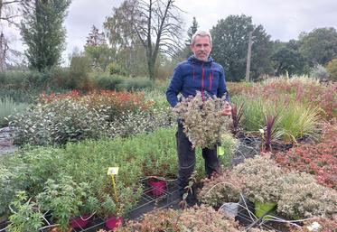 Jérôme Pasquier produit 12 000 végétaux à Mayet.
