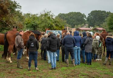 Le 20 octobre, l'IFCE a organisé une journée technique d'échange et de restitution du projet EUnetHorse, à Courcemont. Une visite de l'exploitation de Sophie et Hervé Dugué était prévue l'après-midi.