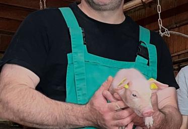 David Champion, naisseur engraisseur et multiplicateur à Pirmil (Gaec Porcinet), a produit 25 q/ha sec sur 56 ha de maïs non-irrigué, un chiffre divisé par quatre par rapport à une bonne année.