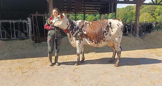 Utah Beach - un nom tout trouvé, en lien avec l'actualité et l'inscription des plages du Débarquement au patrimoine mondial de l'Unesco - est la vache égérie de cette 5e édition. Fille de Ravelin, elle est en 1e lactation. Elle provient du Gaec Leroux à Courtonne-les-Deux-Églises - Emmanuelle (ici en photo) est la présidente de l'Association des éleveurs de race Normande du Calvados.