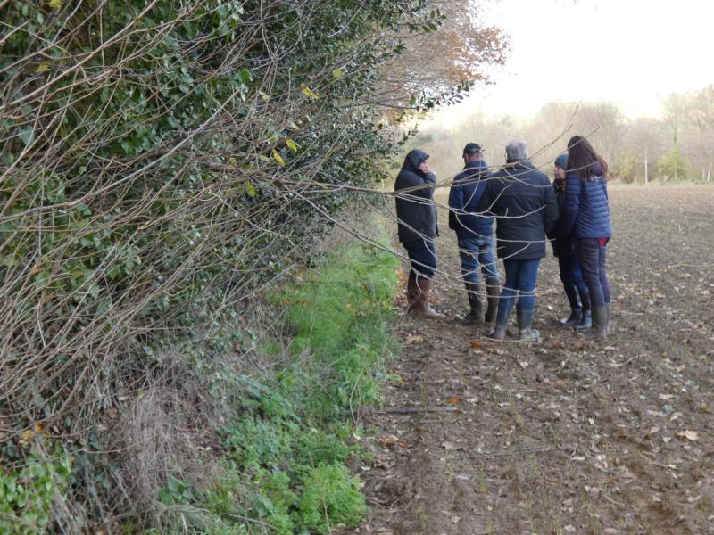 Agroforesterie au CGA à Paris : le lycée agricole de Coutances décroche ...