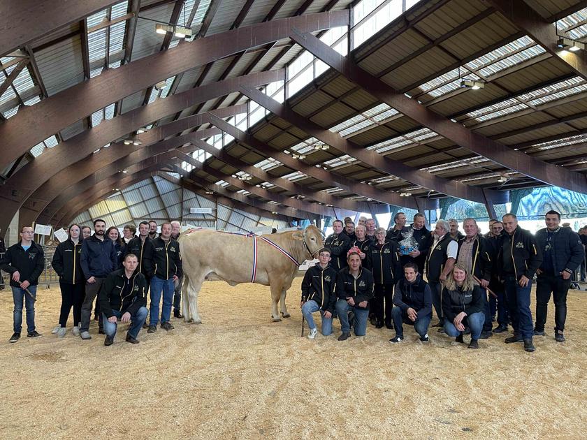 Concours départemental en race Blonde d’Aquitaine | L’EARL du Faix