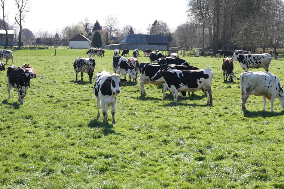 Formule De Prix Du Lait | Accord Avec Lactalis : Le Combat De L'Unell ...