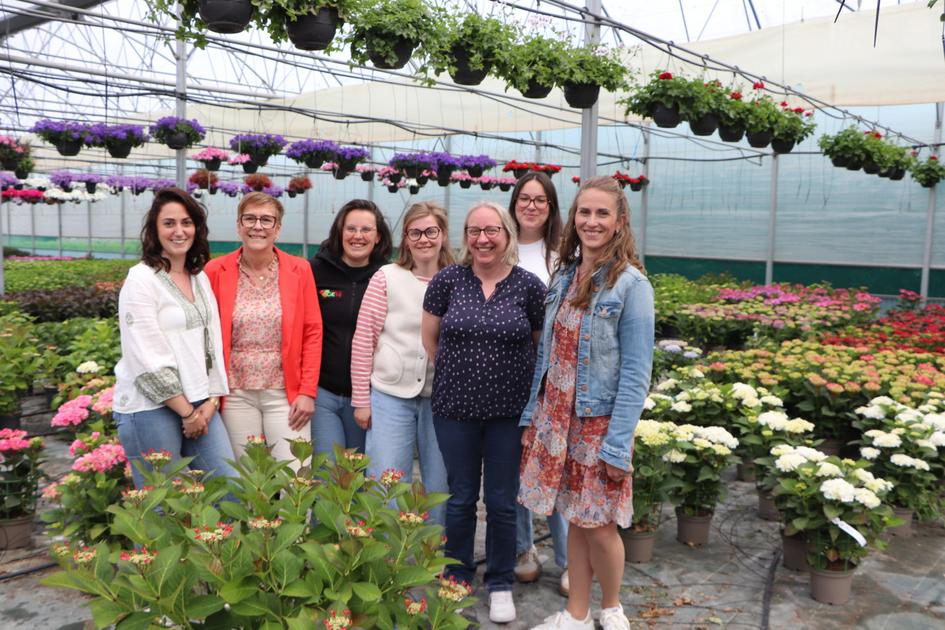 Grille De Grillade Pliable Pour Camping - DZRZVD, Acier, 7.48x12.6 Pouces, Légère Et Portable