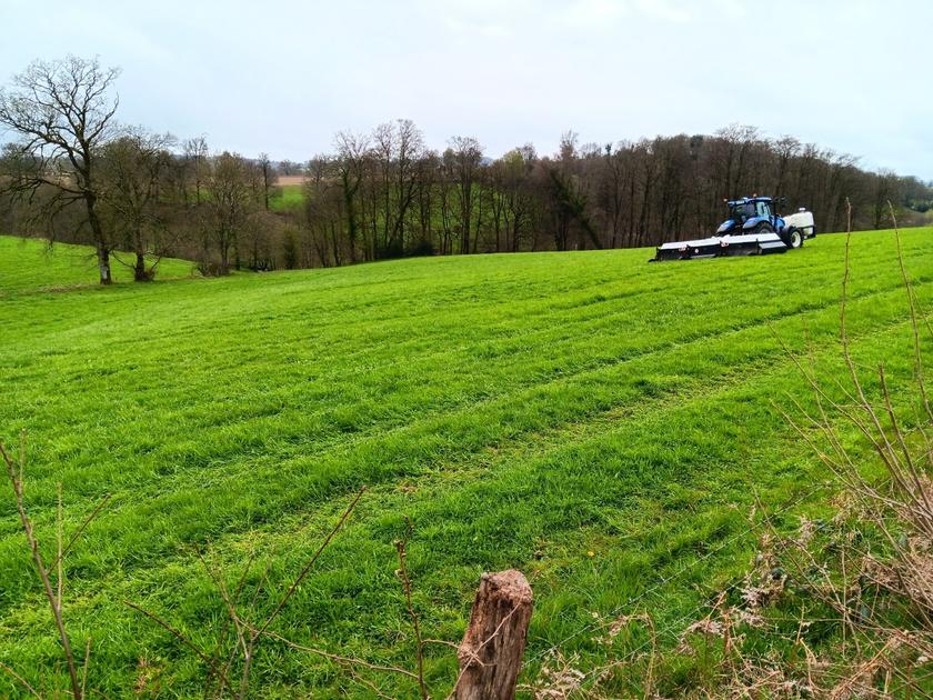 Το ρομπότ Ara από την Ecorobotix, δοκιμάζεται σε λιβάδι Bocage