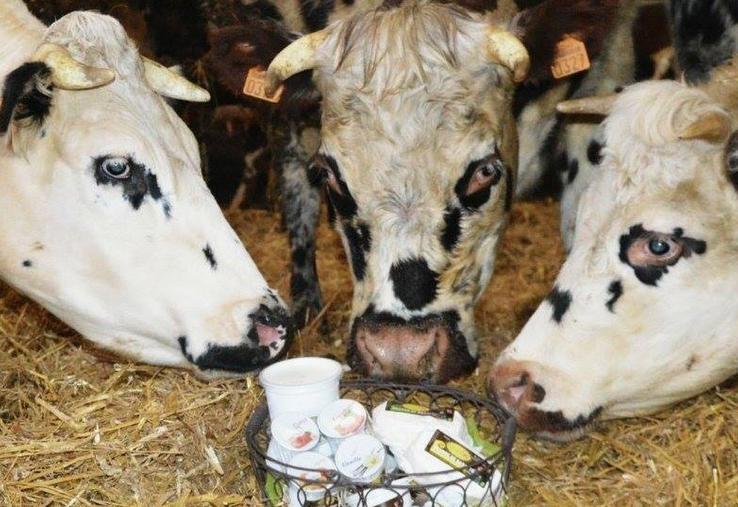 C'est à la Ferme de la Frémondière que la prochaine Journée nationale de l'agriculture se déroulera pour découvrir de manière pédagogique cet environnement.