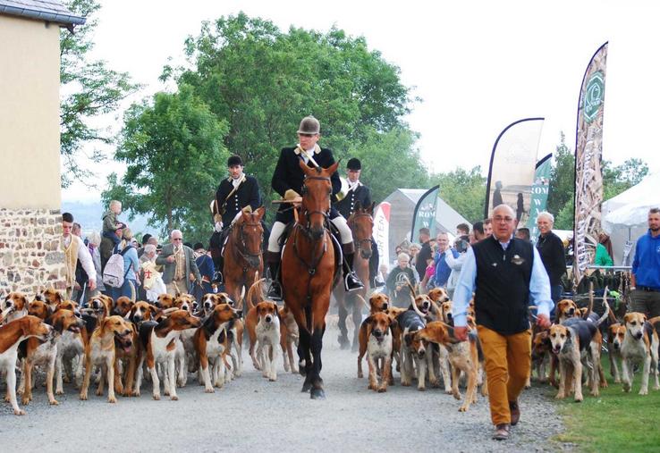 Pas moins de 8 000 personnes ont participé aux Journées de la biodiversité et de la ruralité organisées par la Fédération départementale des chasseurs de la Manche.