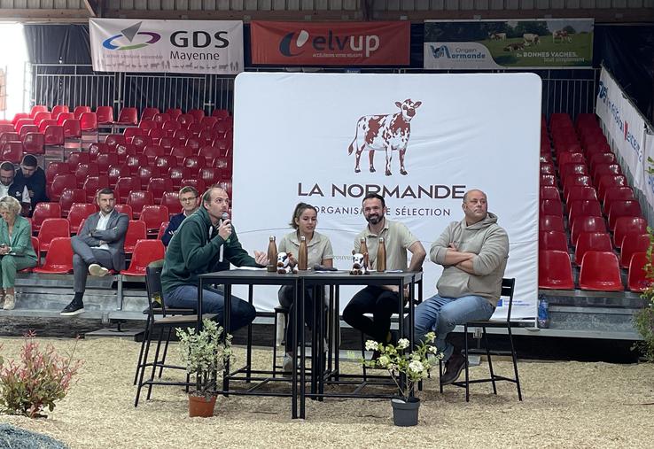 La commission technique présidée par Sylvain Quellier, éleveur ornais, travaille sur le standard de la race pour créer la Normande de demain, celle qui correspond aux besoins des éleveurs et de la filière, tout en les accompagnant techniquement.