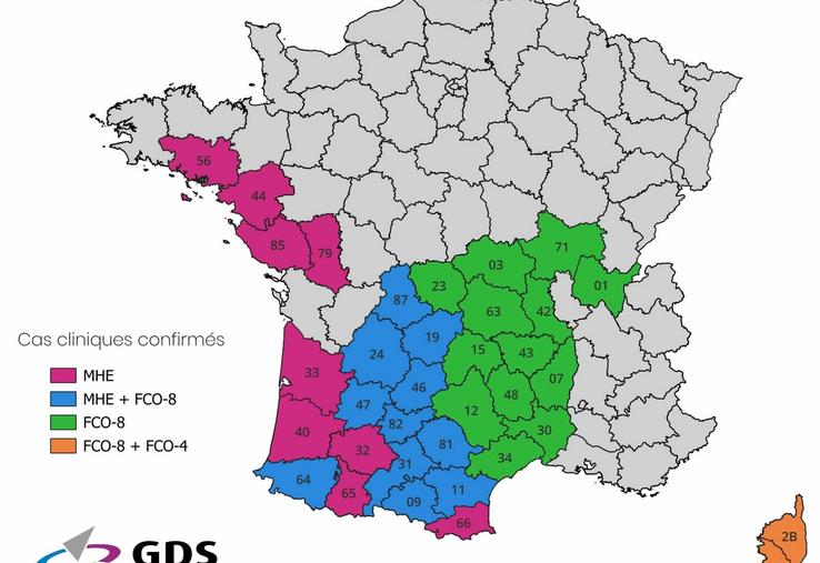 Toute détection de foyers entraîne des mesures de lutte et prévention dans un rayon de 150 km autour de la zone touchée.