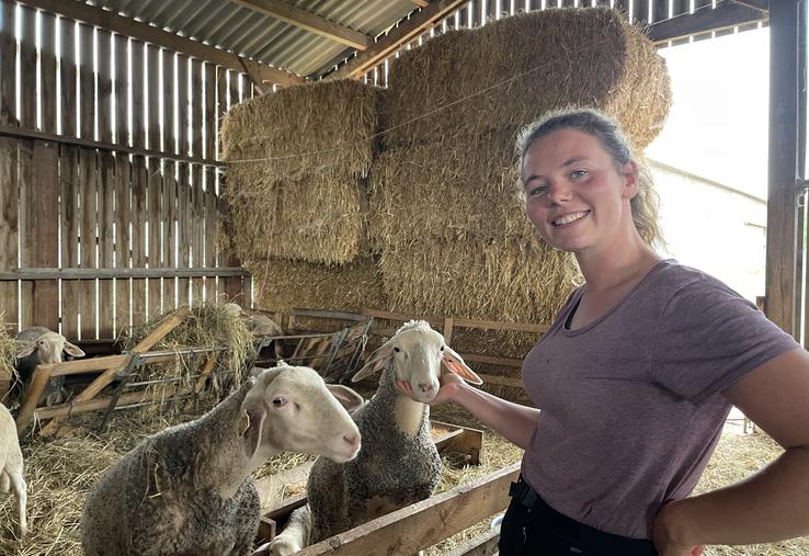 Depuis près de deux ans, Laura Nowak est à la tête d'un troupeau d'une soixantaine de brebis Lacaune, race emblème de l'Aveyron.