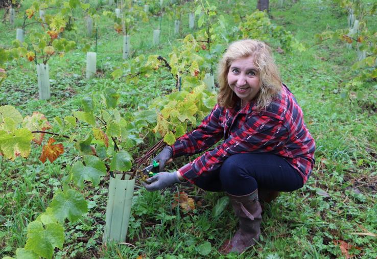 "Je n'ai jamais perdu mon lien terrien, ni le bon sens paysan", se plaît à dire Marie-France Mugnier. La néo-vigneronne, qui se dit "femme d'action", cultive des vergers hautes tiges et 3 500 plants de vignes, sur son coteau improvisé à Blangy-le-Château.