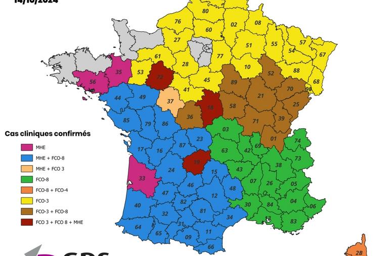 "Nous sommes sur une dynamique de développement", atteste le GDS 61.