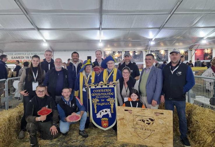 Les éleveurs de porcs de Bayeux représentent seulement 26 exploitations en France. Cinq fermes ont concouru, dimanche dernier à Caen.