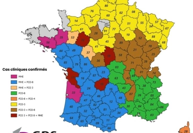 Le Calvados passe en jaune, ce qui symbolise la FCO-3. Un premier cas de FCO-3 a été confirmé sur le département en début de semaine.