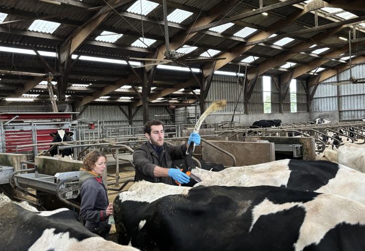 Le vétérinaire, Arnaud Lafforge, référent MHE à l'échelle de la Normandie chez les vétérinaires, a fait le rappel de la vaccination dans l'élevage de Géraldine Dubois.