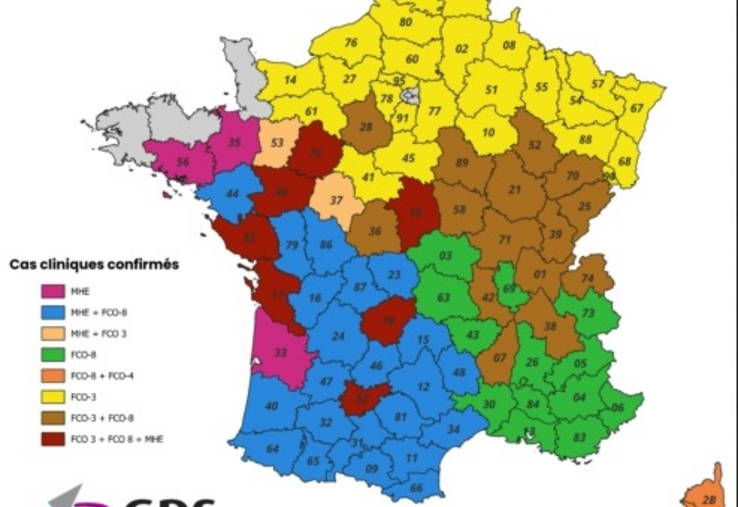 Les températures plus fraîches pourraient permettre un ralentissement de la propagation des trois virus dans l'Hexagone.