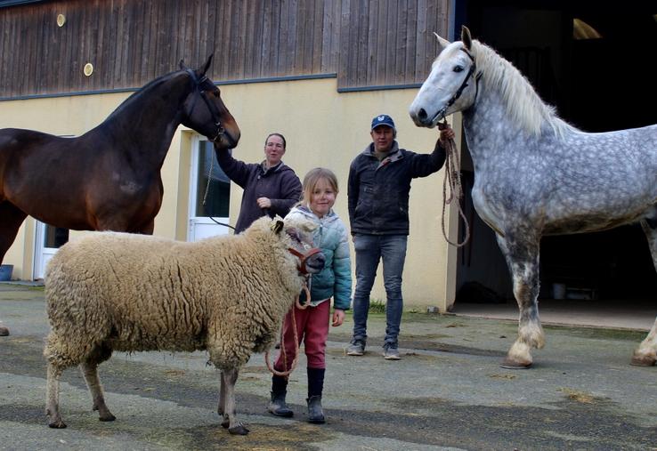 Maeline, 7 ans, est accompagnée de son bélier Avranchin Hulk et de ses parents, éleveurs du Gaec de la Cauvellière, avec Mimosa Cauvellière, Cob normand et Mufasa Clermonteix, Percheron.