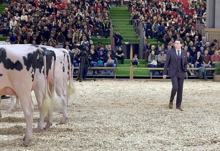 Luc Sassel a jugé pendant près de sept heures l'édition 2025 du concours en race Prim'Holstein au Salon de l'agriculture de Paris.