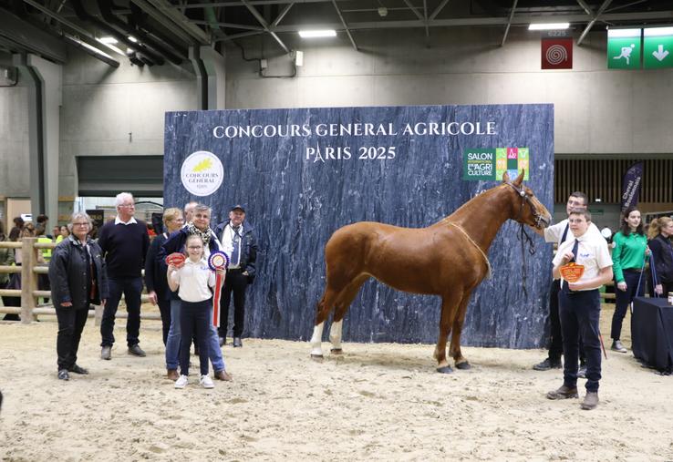 Ce sont les enfants de Mathieu Dubost, Gabin et Antonin (à droite) qui ont présenté la pouliche gagnante lors du concours de Cobs Normands à Paris. Une fierté pour la famille qui élève "le plus léger des chevaux de trait", précise le présentateur quant à la race.