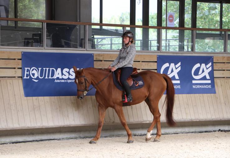 Dans la filière équine, "certaines races ont pas mal de maladies génétiques". Avec la génomique haut débit, Labéo entend répertorier les marqueurs génétiques et faire perdurer les races.