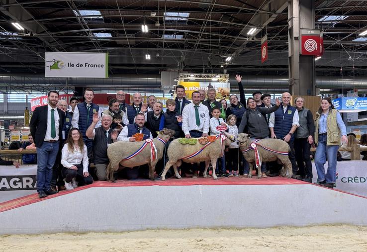 Le podium final des éleveurs lors des concours de l’Oscar (Avranchin, Cotentin et Roussin de la Hague) au Salon de l'agriculture.