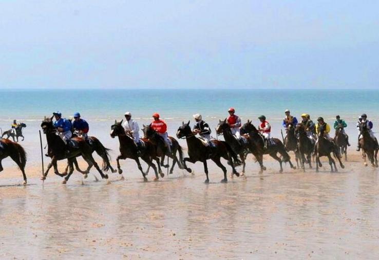 Tout au long de l'après-midi, pas moins d'une centaine de chevaux vont fouler le sable de Jullouville, seul hippodrome marin de Normandie et un des quatre de l'Hexagone.