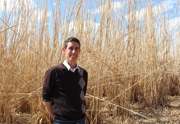 Guillaume Boulay a fondé son entreprise de production de miscanthus, Misca, dans le Perche, sur l'exploitation familiale de 250 ha et 2 800 m2 de bâtiment de stockage. La majorité des débouchés se font à l'aide des réseaux de jardinerie.