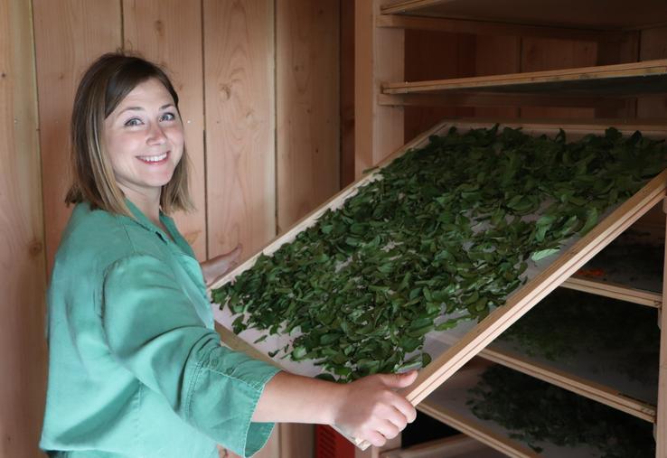 Iulia Khramtsova en mai 2024, au démarrage de la transformation et du séchage de ses plantes (sur un hectare).