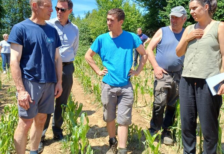 Sur la commune de Ger, les dégâts ont été importants chez des exploitants notamment des jeunes installés.